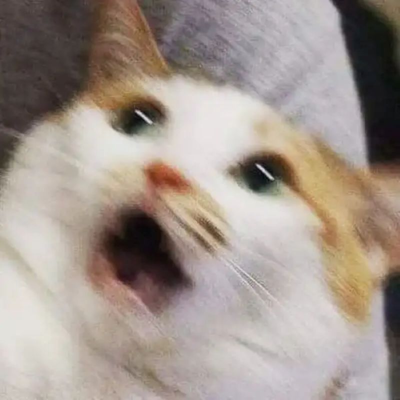 ảnh meme đáng sợ