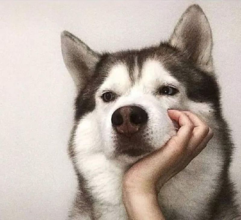 ảnh meme đáng suy ngẫm