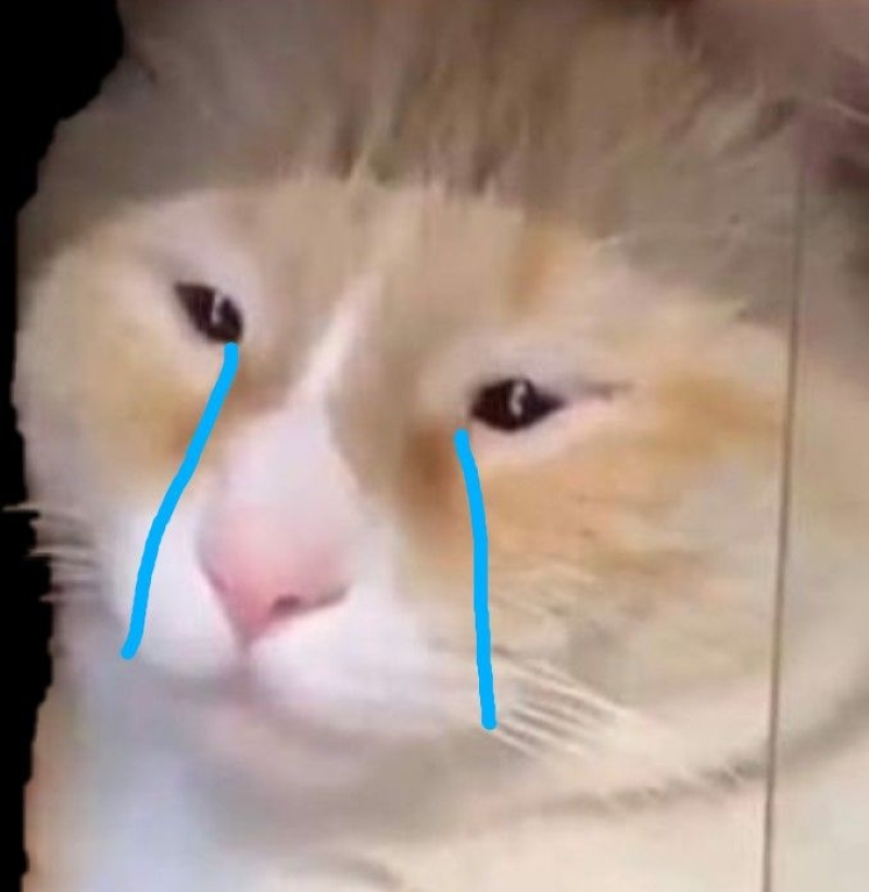 ảnh meme đau lòng