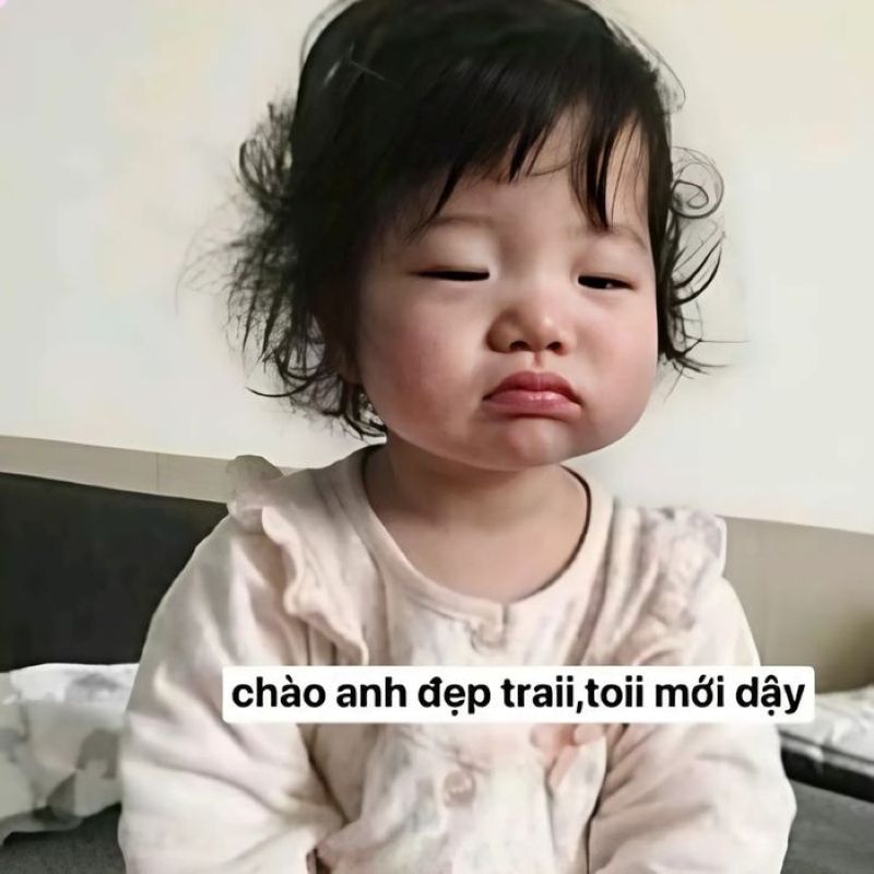 ảnh meme dễ thương