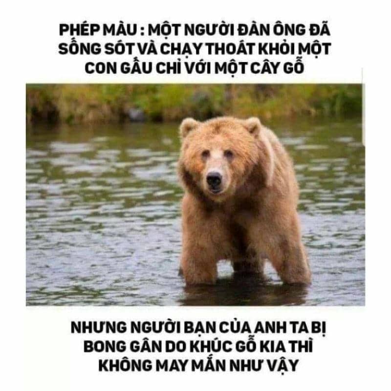 ảnh meme đen tối