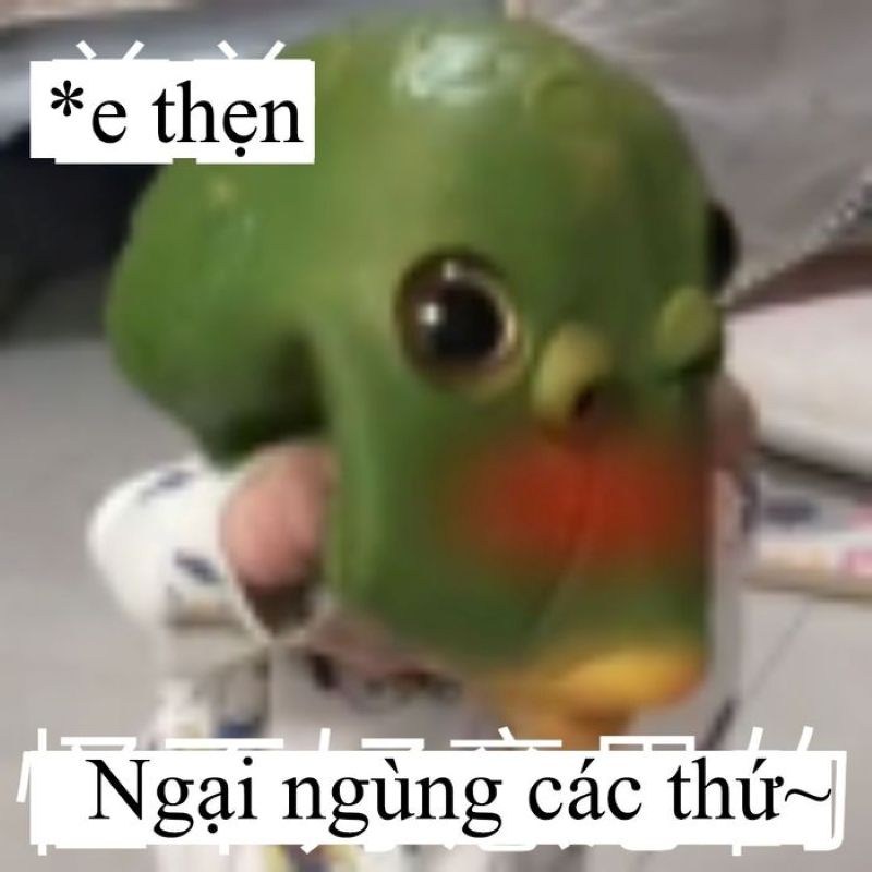 ảnh meme đỏ mặt