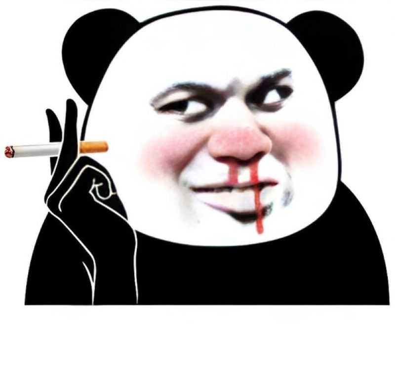ảnh meme gấu trúc chảy máu mũi