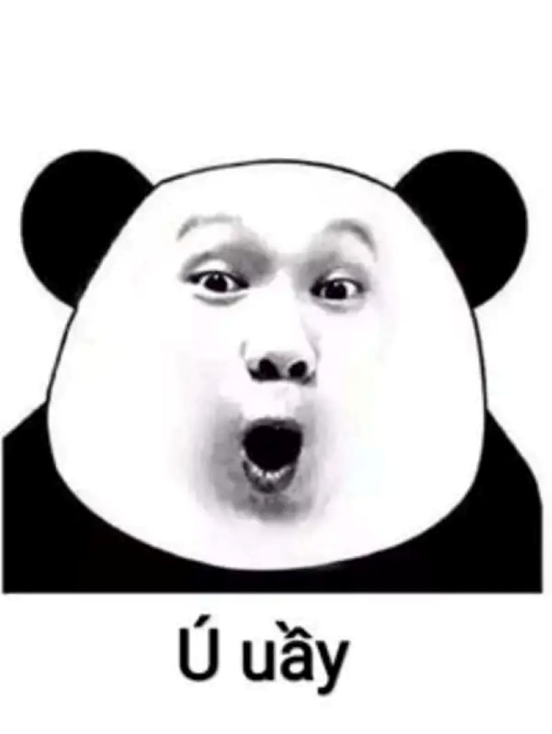 ảnh meme gấu trúc ngạc nhiên