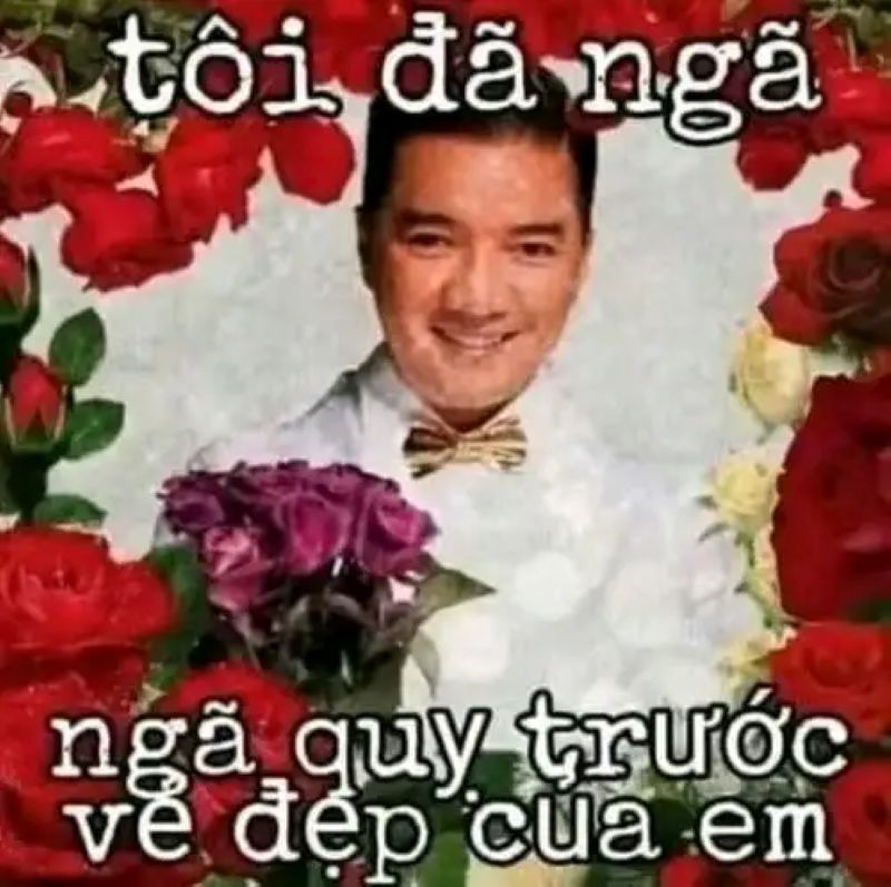 ảnh meme hài bựa