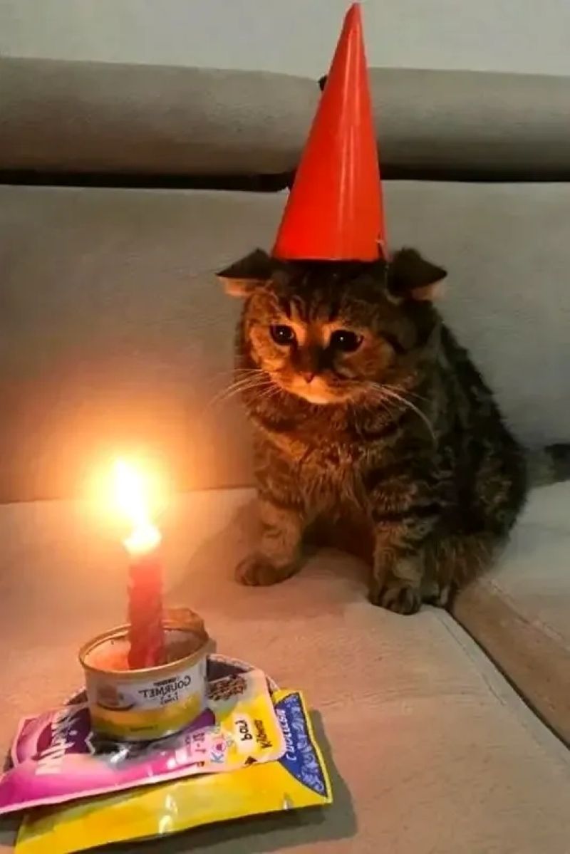 ảnh meme happy birthday