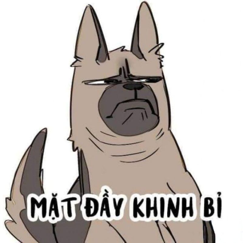 ảnh meme khinh bỉ hài hước