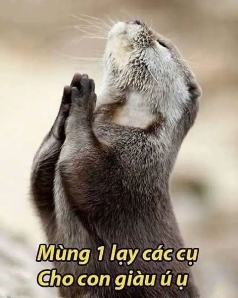 ảnh meme lạy