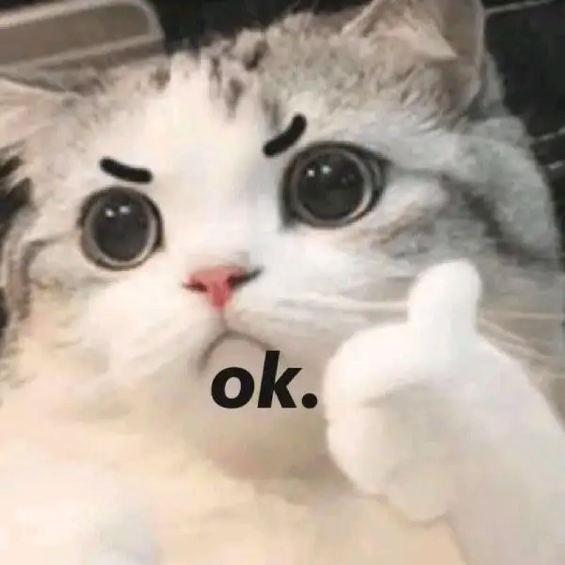 ảnh meme like cute