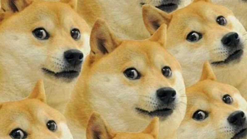 ảnh meme meme hài