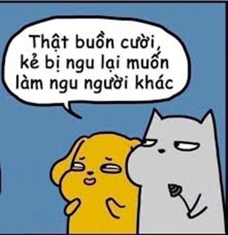 ảnh meme não đang tải