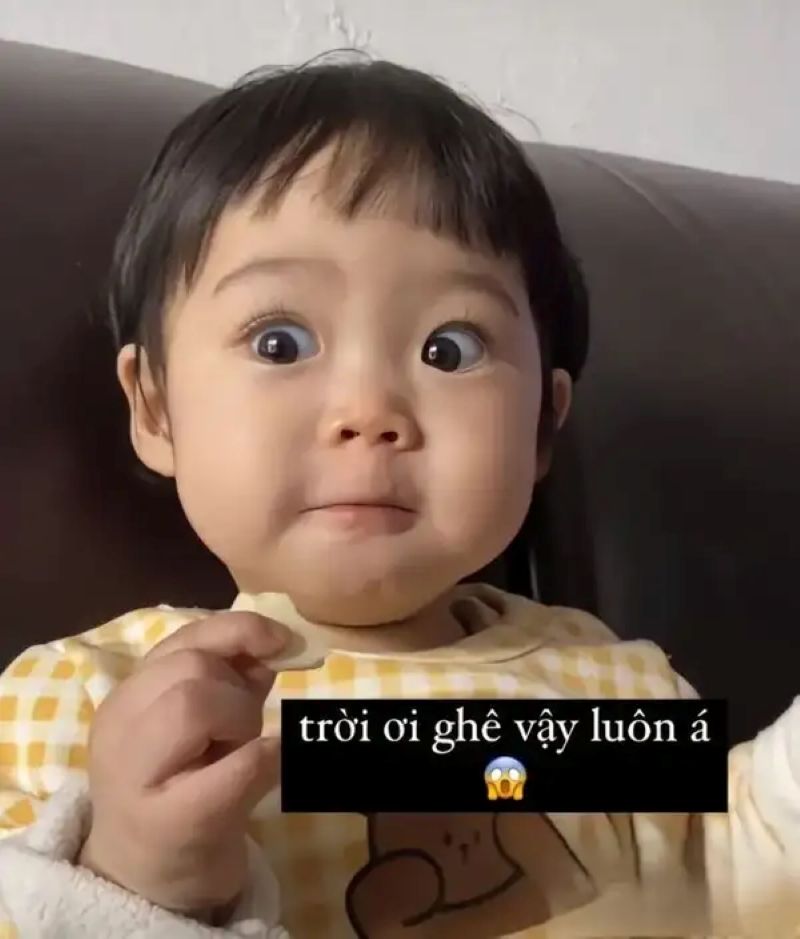 ảnh meme ngơ ngác
