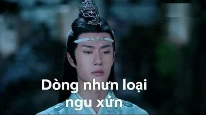 ảnh meme ngu dốt hài hước