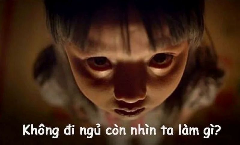ảnh meme ngủ ngon