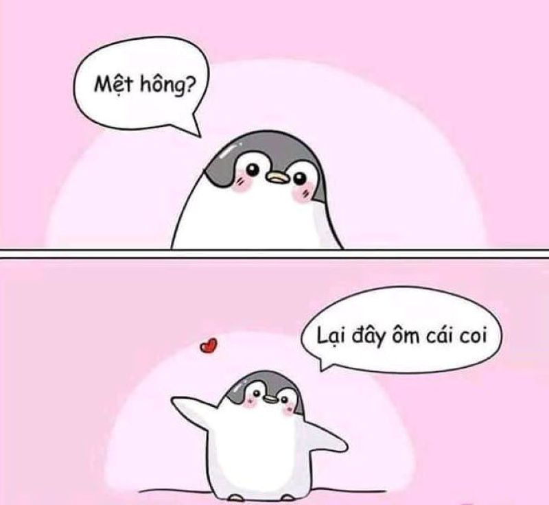 ảnh meme ôm dễ thương