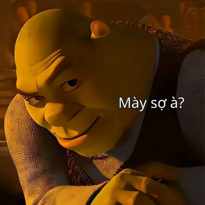 ảnh meme sao lại không nhỉ