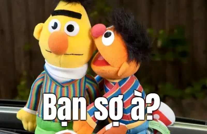ảnh meme sợ
