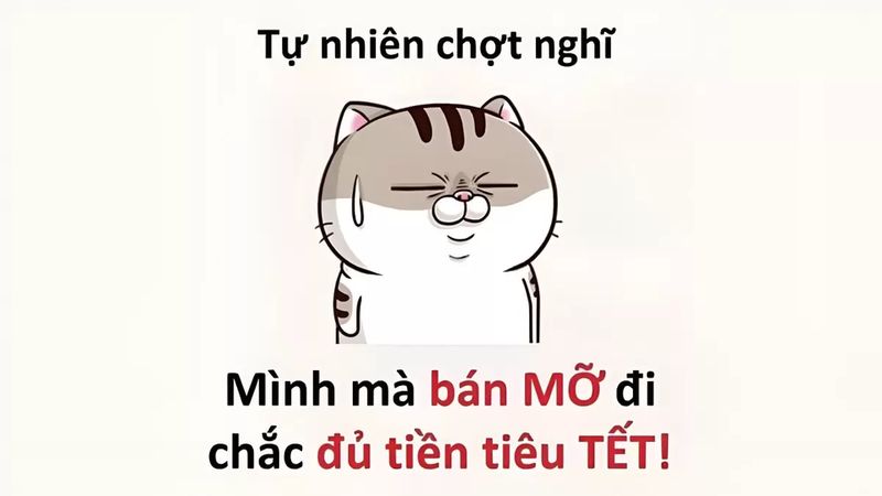ảnh meme tết cute