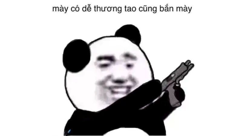 ảnh mèo cầm súng