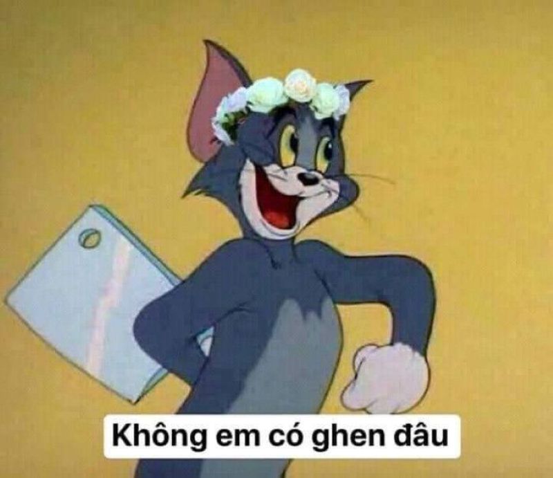 ảnh mèo ngầu cầm dao