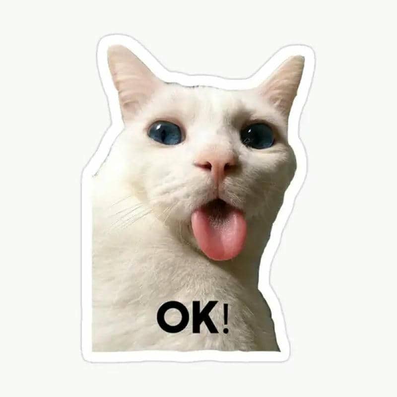 ảnh mèo ok