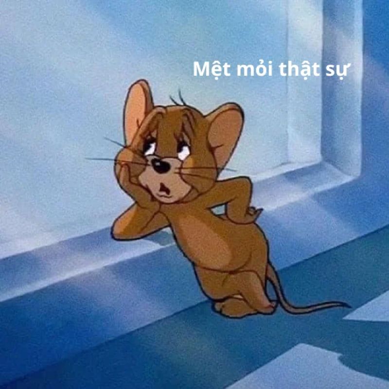 ảnh mệt mỏi hài hước