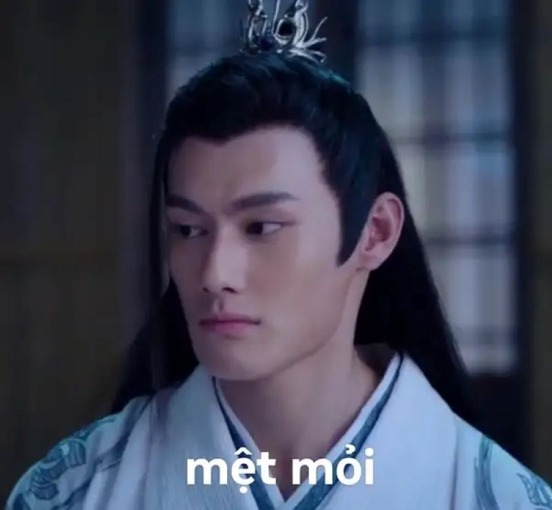 ảnh mệt