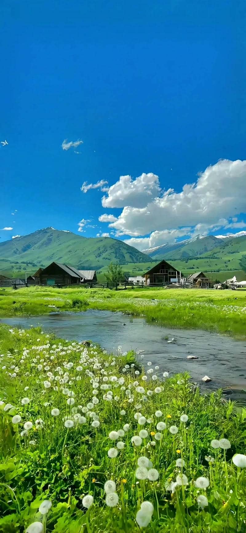 ảnh nền điện thoại đẹp