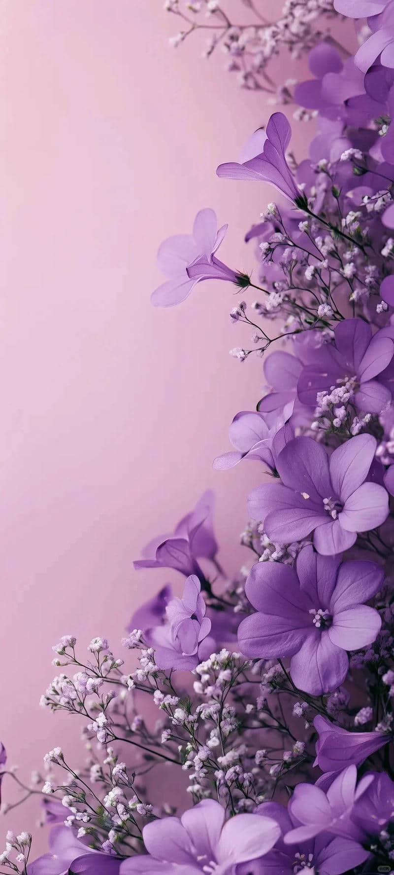 ảnh nền hoa màu tím