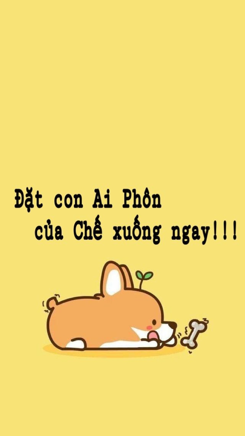 ảnh nền viết chữ
