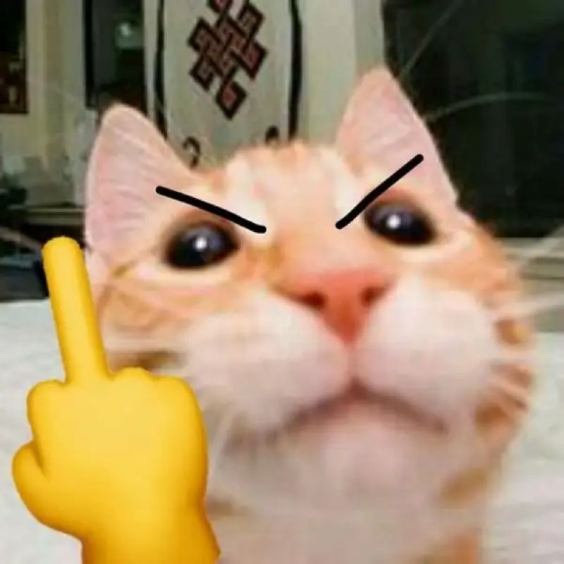 ảnh ngón fuck