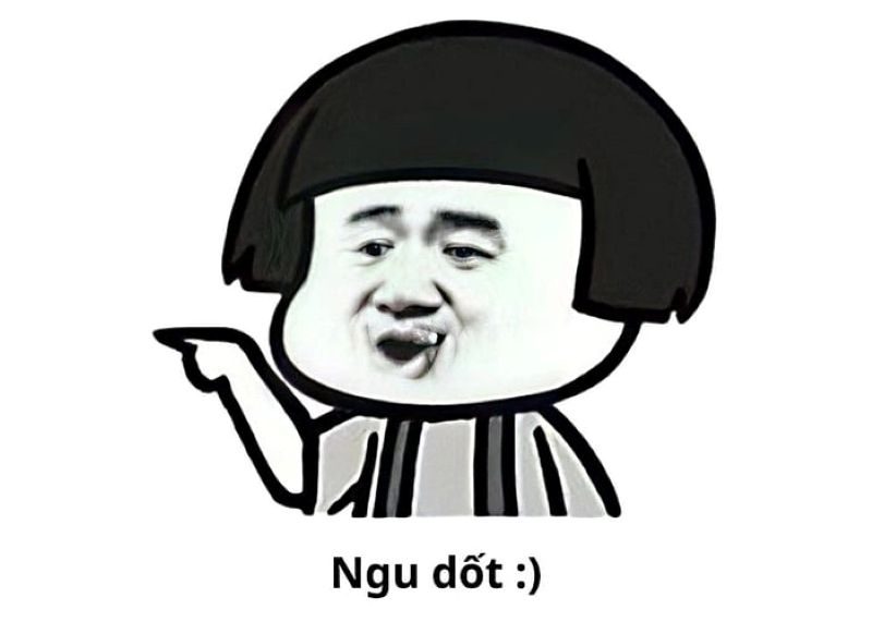 ảnh ngu dốt meme hài hước