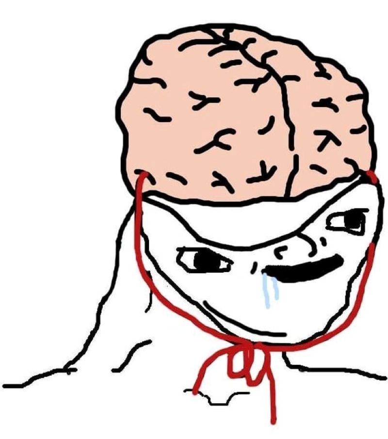 ảnh ngu meme