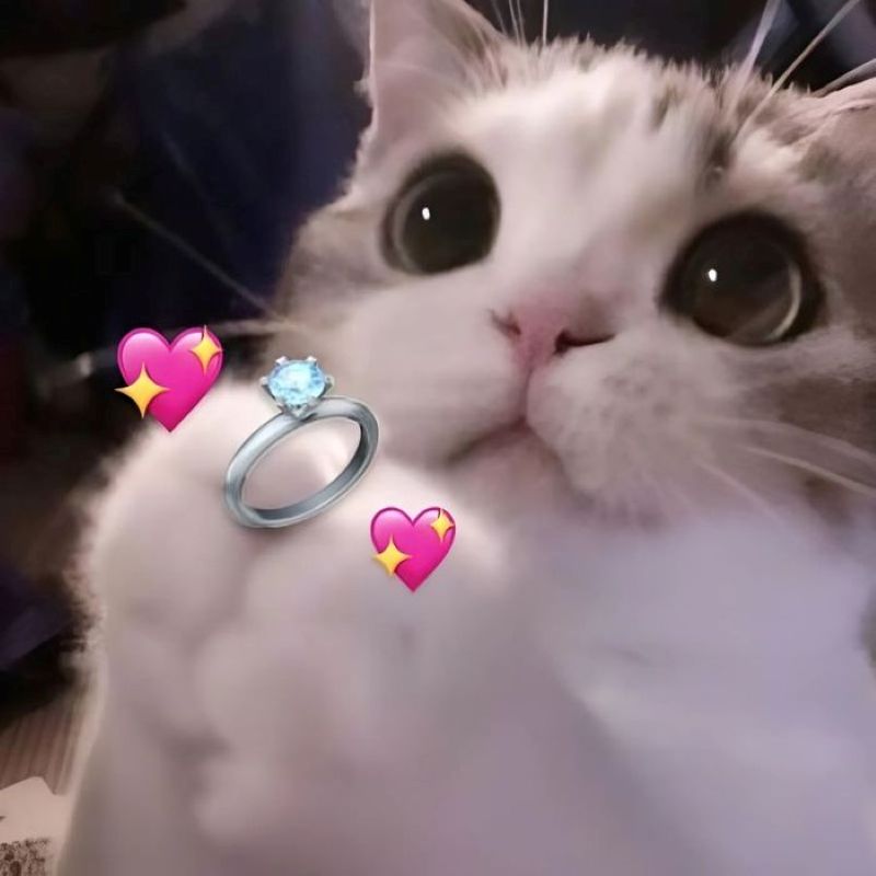 ảnh nhớ người yêu cute