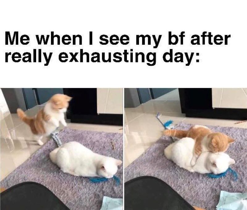 ảnh ôm nhau cute