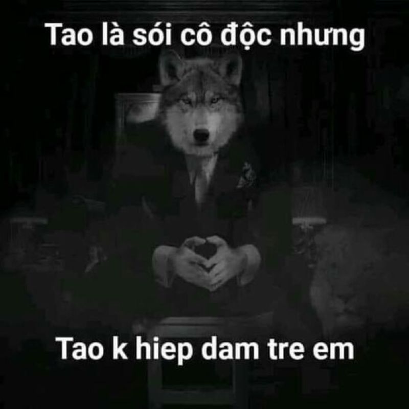 ảnh sói đơn độc meme