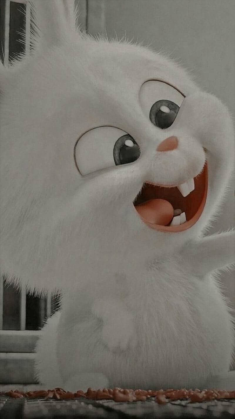 ảnh thỏ snowball đáng yêu