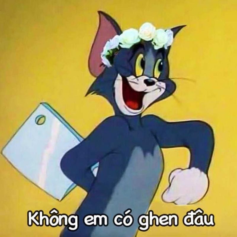 ảnh tom meme