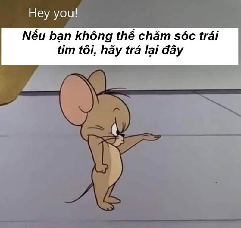 ảnh tom và jerry hài hước