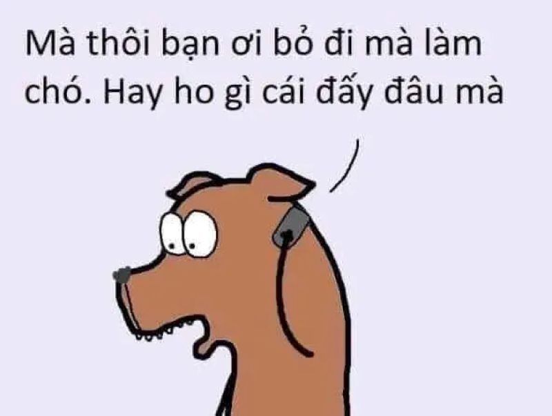 ảnh từ chối hiểu meme