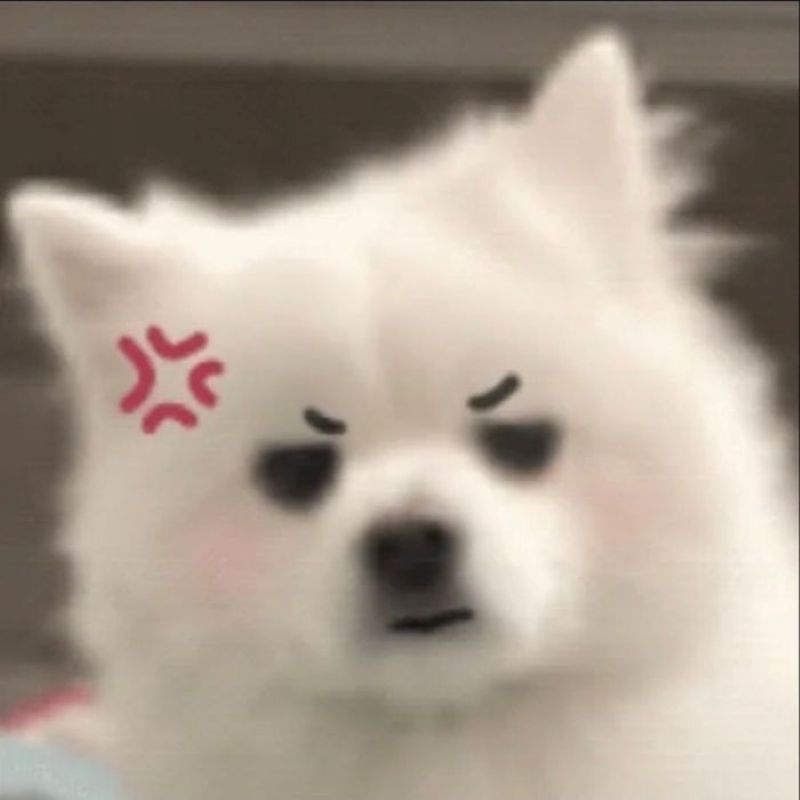 ảnh tức giận meme hài