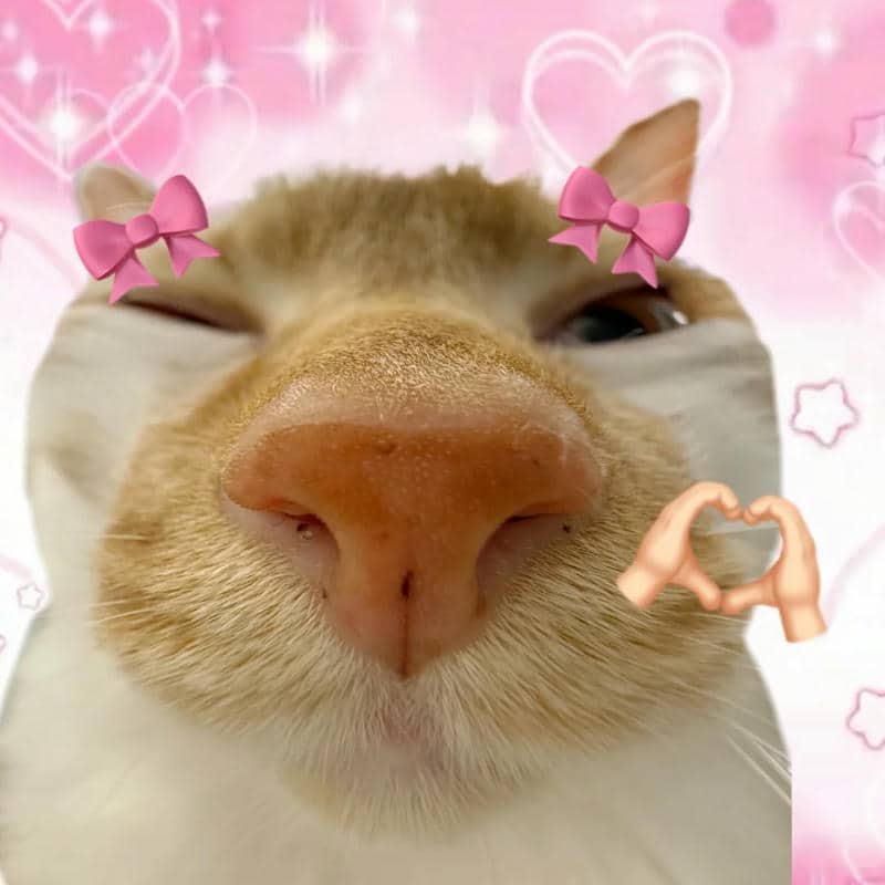 ảnh vẽ meme cute
