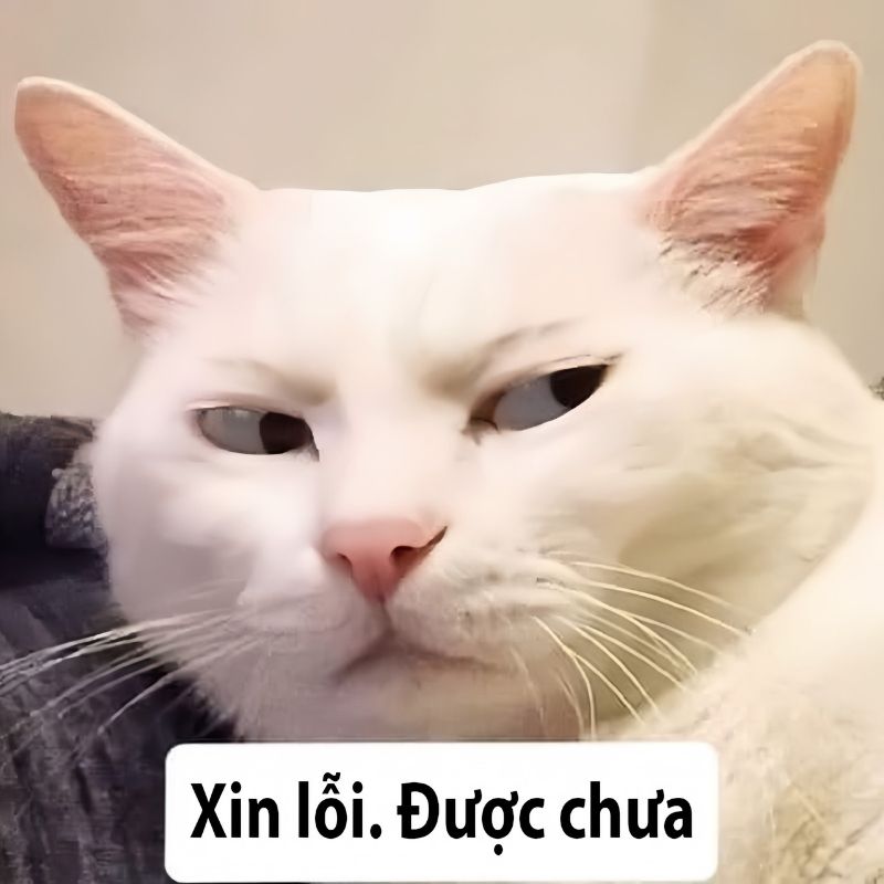 ảnh xin lỗi bạn thân