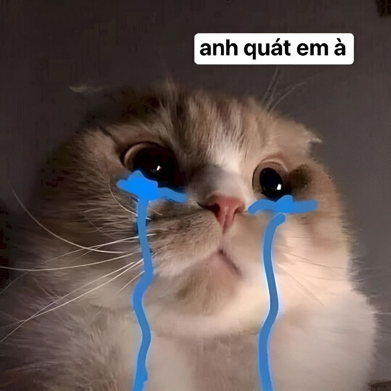 ảnh xin lỗi người yêu cute