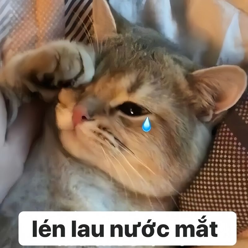 ảnh xin lỗi người yêu