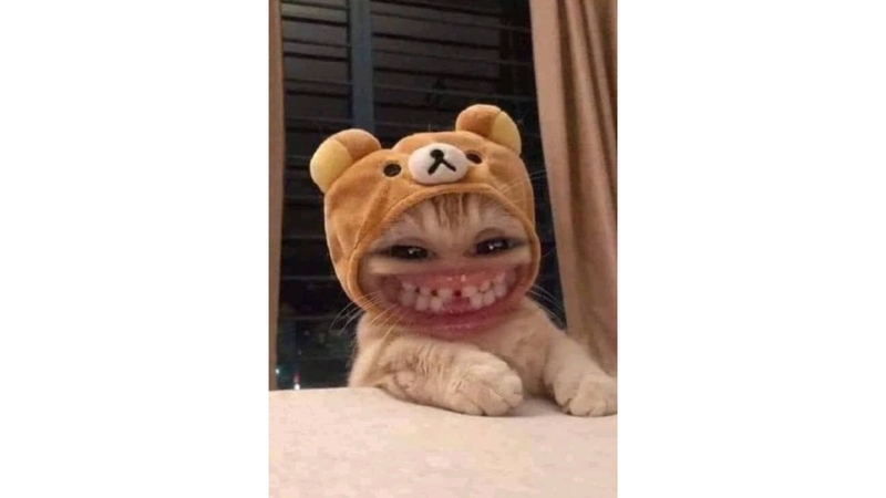 avatar cười