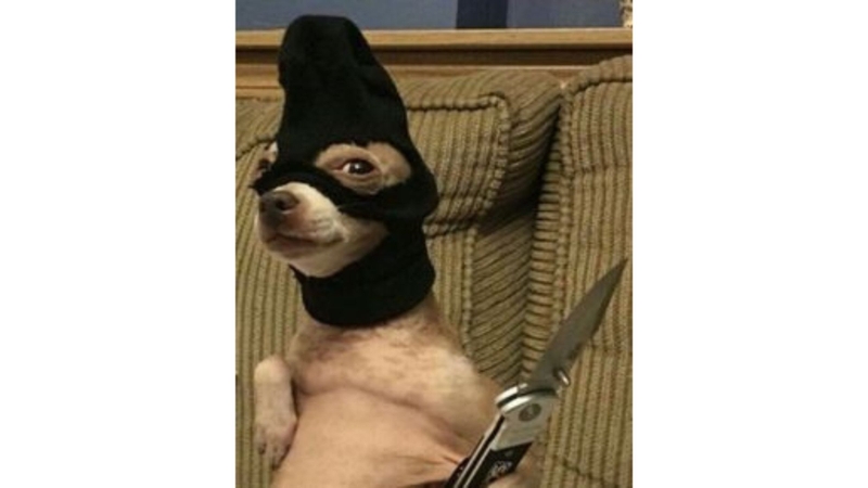 avatar đôi meme