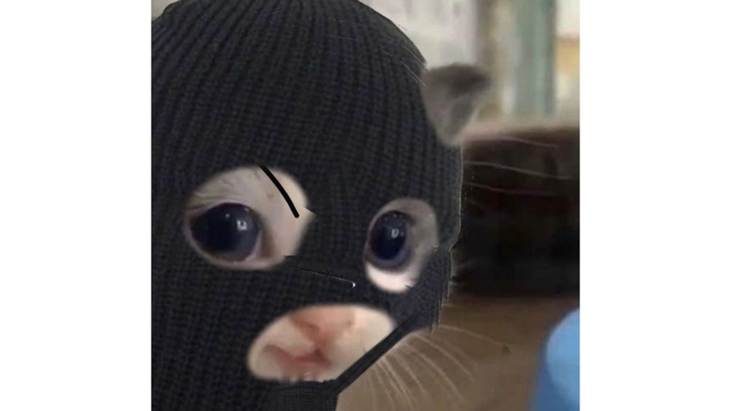 avatar meme cute
