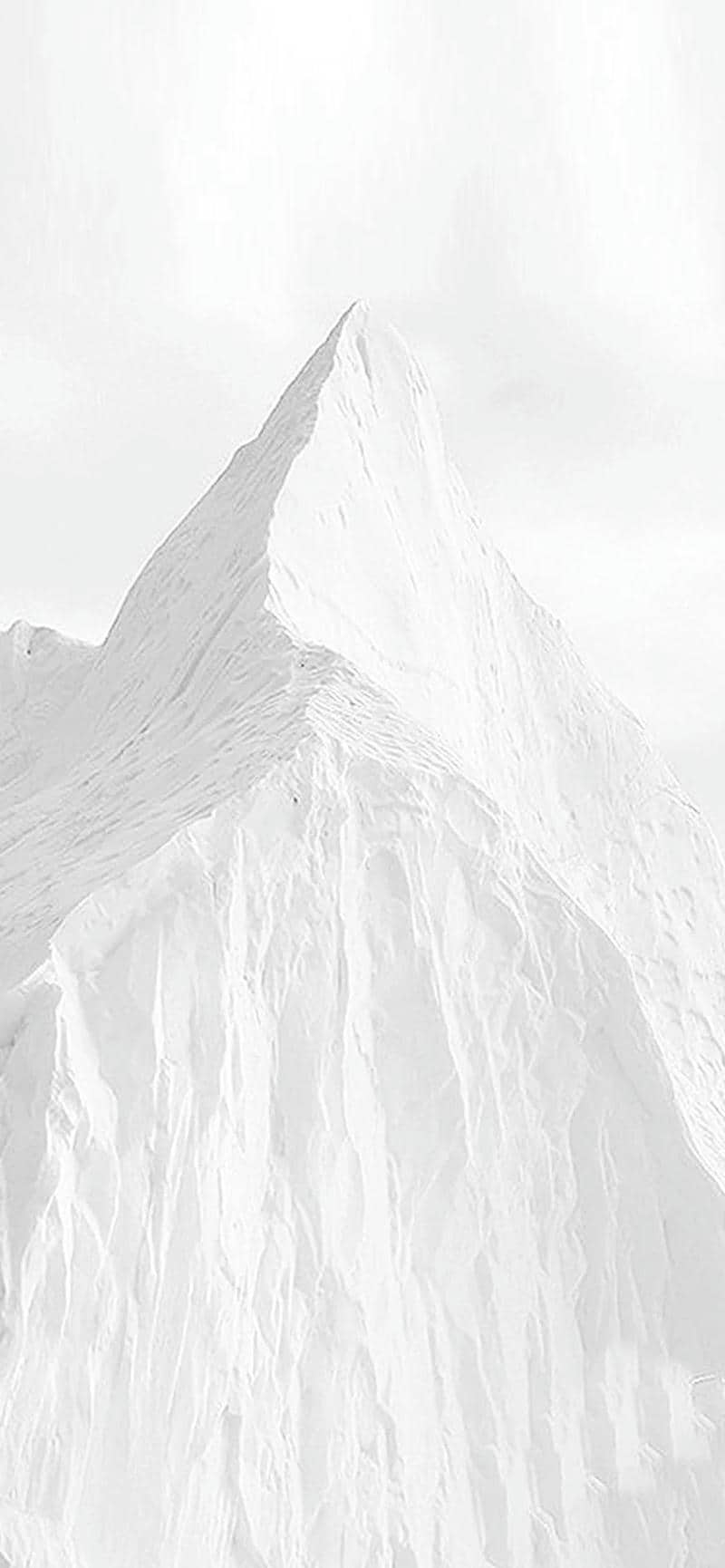 background trắng