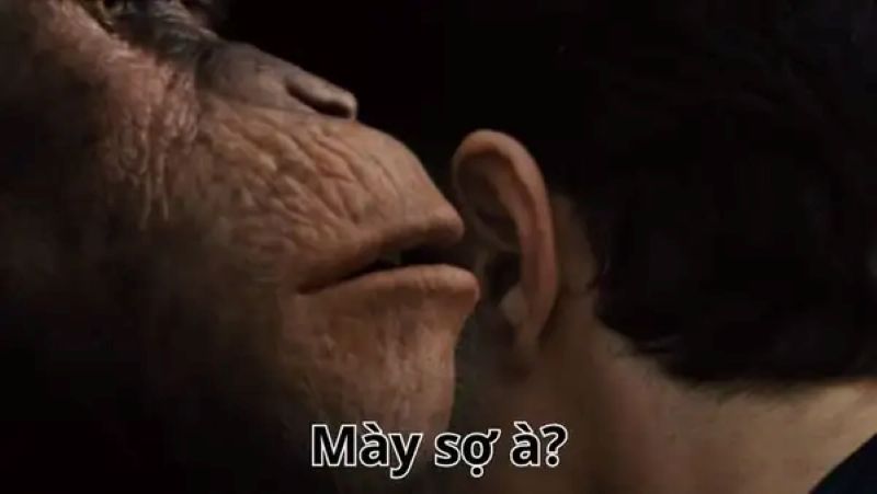bạn sợ à meme hài hước